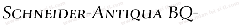 Schneider-Antiqua BQ字体转换
